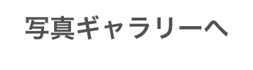 写真ギャラリーへ