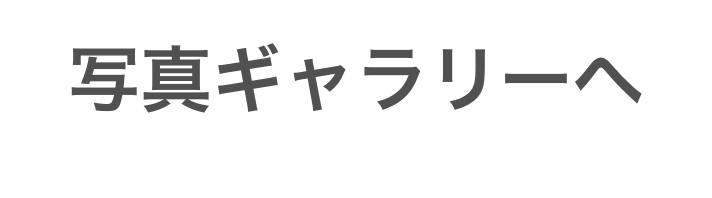 写真ギャラリーへ