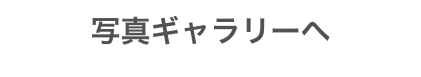 写真ギャラリーへ